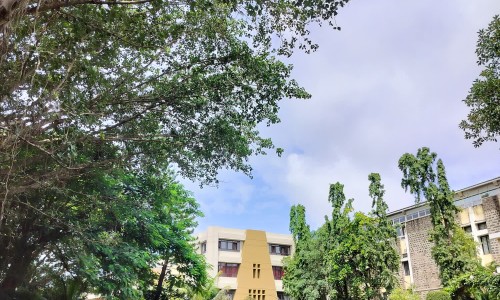 汇仁肾宝片的功效与主治-汇仁肾宝片真的有用吗专区_汇仁肾宝专区_汇仁肾宝片服用禁忌网